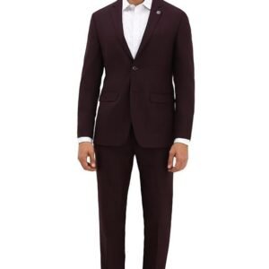 Allen Solly Men Maroon Slim Fit Check Formal Two Piece Suit